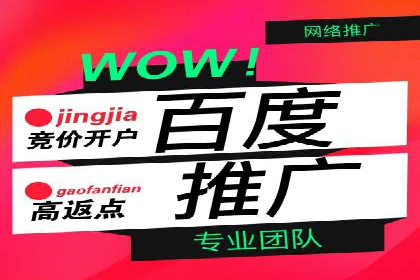 竞价开户案例揭秘：如何实现精准投放